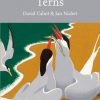 Terns. New Naturalist 123 Paperback version.