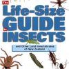 The Life-Size Guide to Insects