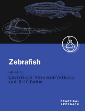 Zebrafish