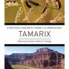 Tamarix: A Case Study of Ecological Change in the American West