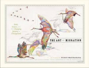 The Art of Migration: Birds, Insects, and the Changing Seasons in Chicagoland