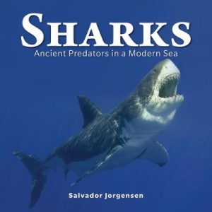 Sharks: Ancient Predators in a Modern Sea: 2018
