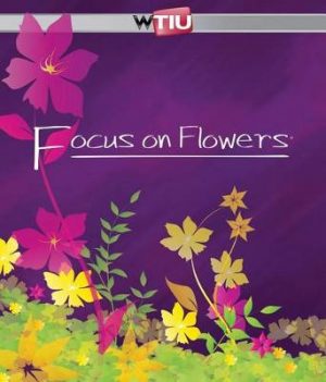 Focus on Flowers