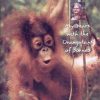 Reflections of Eden: My Years with the Orangutans of Borneo