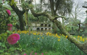 The Lost Gardens of Heligan Calendar: 1998