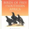 Birds of Prey of Southern Africa: Raptorguide