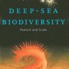 Deep-Sea Biodiversity: Pattern and Scale