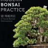 Modern Bonsai Practice: 501 Principles of Good Bonsai Horticulture