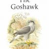 The Goshawk