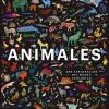 Animales: Una Exploraci n del Mundo Zool gico (Animal: Exploring the Zoological World) (Spanish Edition)