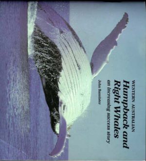 Western Australian Humpback and Right Whales: An Increasing Success Story