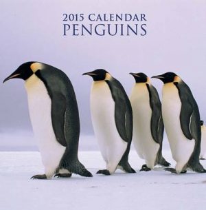 2015 Penguins Calendar