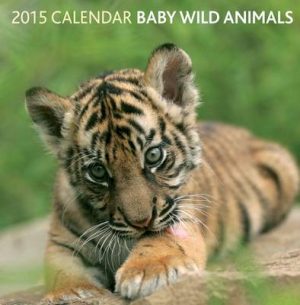 2015 Baby Wild Animals Calendar