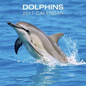 Dolphins Calendar 2017