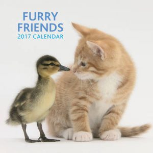 2017 Calendar: Furry Friends