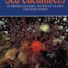 Sea Cucumbers of British Columbia, Southeast Alaska & Puget Sound