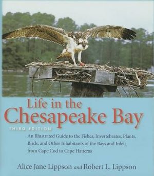 Life in the Chesapeake Bay