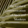 The Gestural Communication of Apes and Monkeys