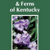 A Guide to the Wildflowers and Ferns of Kentucky