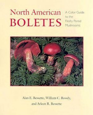 North American Boletes: A Color Guide To the Fleshy Pored Mushrooms