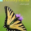 Butterflies and Skippers of Pennsylvania: A Field Guide