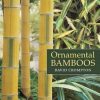 Ornamental Bamboos