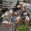 Saxifrages: A Definitive Guide to the 2000 species, hybrids and cultivars