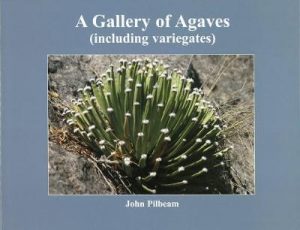 A Gallery of Agaves (including variegates)