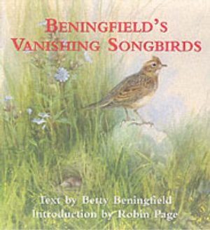 Beningfield's Vanishing Songbirds
