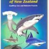 Sharks and Rays of New Zealand: An Illustrated Guide
