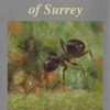 Ants of Surrey