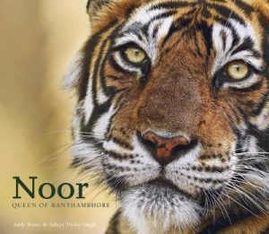 Noor: Queen of Ranthamnbhore