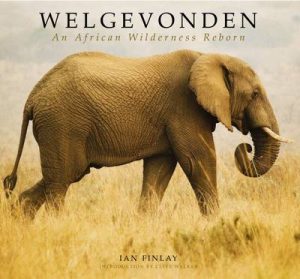 Welgevonden: An African Wilderness Reborn