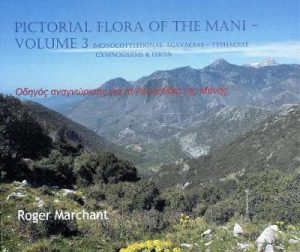 Pictorial Flora of the Mani volume 3: Monocotyledonae: Agavaceae - Typhaceae, Gymnosperms & Ferns