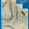 Fossil Seahorses & Other Biota from the Tunjice Konservat-Lagerstatte, Slovenia