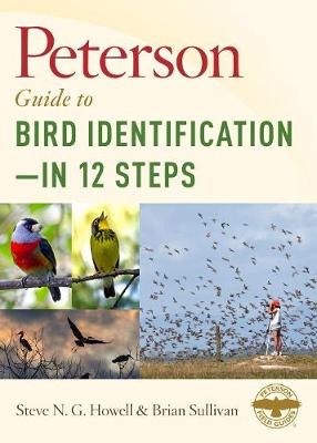 Peterson Guide To Bird Identification?çöin 12 Steps
