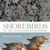 Shorebirds of the Northern Hemisphere