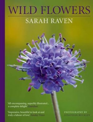 Sarah Raven's Wild Flowers