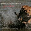 Relentless Enemies: Lions and Buffalo