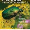 National Geographic Pocket Guide to Insects of North America