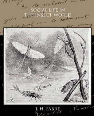 Social Life in the Insect World