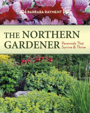 Northern Gardener: Perennials That Survive & Thrive