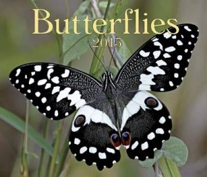 Butterflies 2013 Calendar