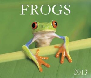 Frogs 2013 Calendar