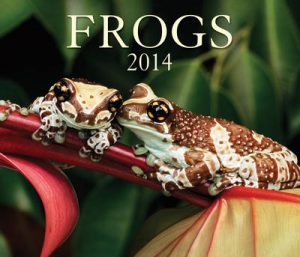 Frogs 2014 Calendar
