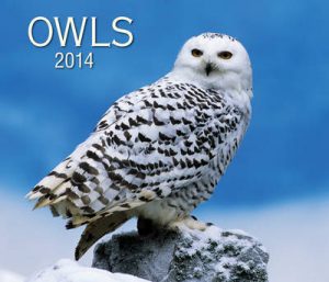 Owls 2014 Calendar