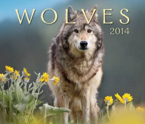 Wolves 2014 Calendar