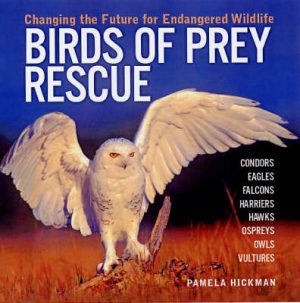 Birds of Prey Rescue: Changing the Future for Endangered Wildlife