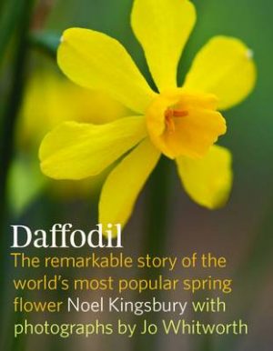 Daffodil "The Remarkable story of the World's most popular spring flower"