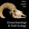 Zooarchaeology and Field Ecology: A Photographic Atlas